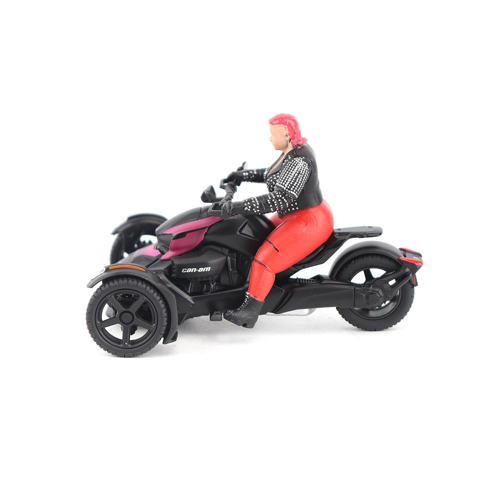 
                  
                    Diecast Masters CAN-AM Trike Ryker 1:32  3
                  
                